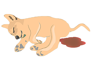 犬パルボウイルス感染犬のイラスト