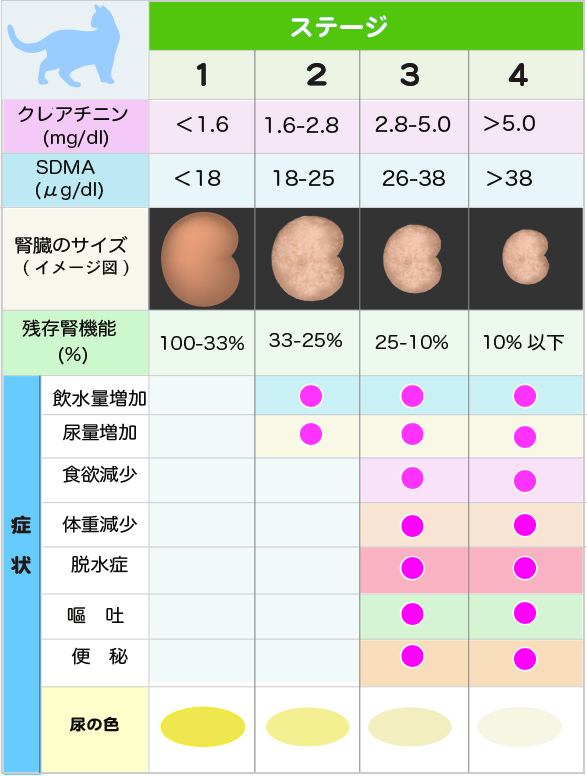 猫の慢性腎炎のステージ分類のイラスト