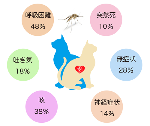 猫のフィラリア症の症状のイラスト