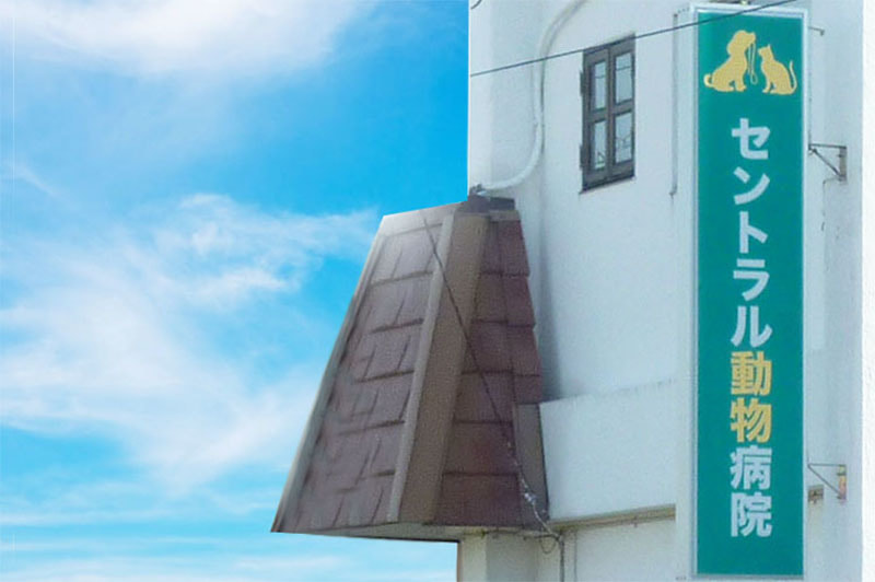 セントラル動物病院建物看板写真