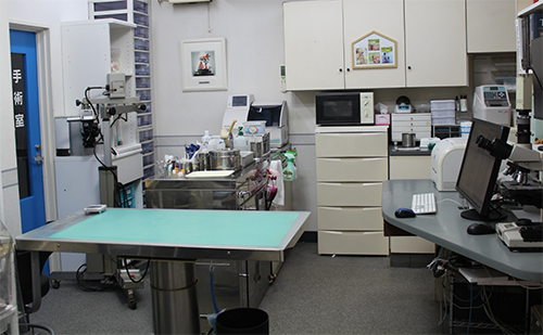 セントラル動物病院診察室の写真