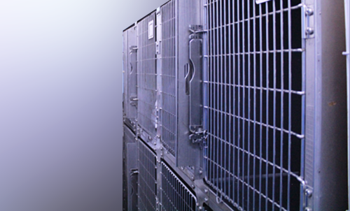 セントラル動物病院入院室の写真