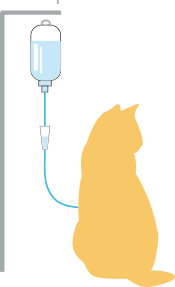 皮下点滴を受けている猫のイラスト