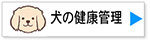 LinkIcon