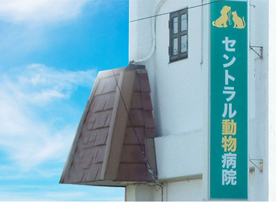 img20250430175350030058.png