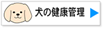 LinkIcon
